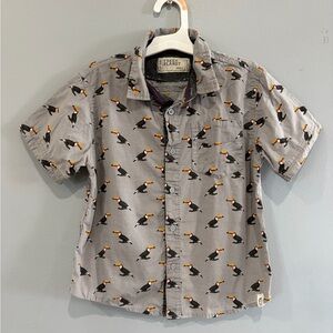 Boys FREE PLANET Gray Short-Sleeve Toucan Print Button-Down Shirt